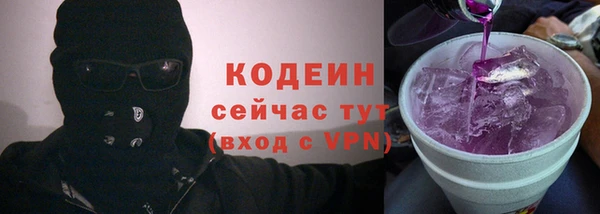 ECSTASY Богданович