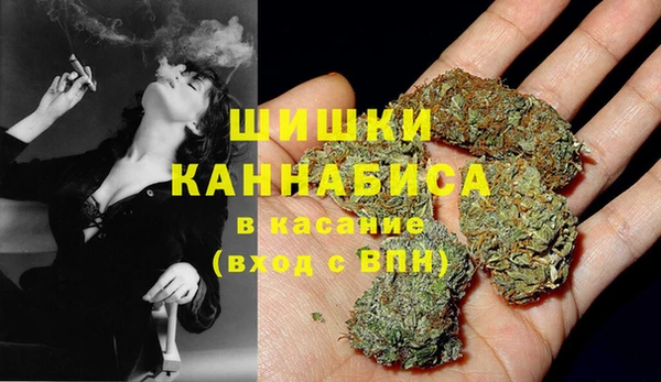 дживик Нязепетровск