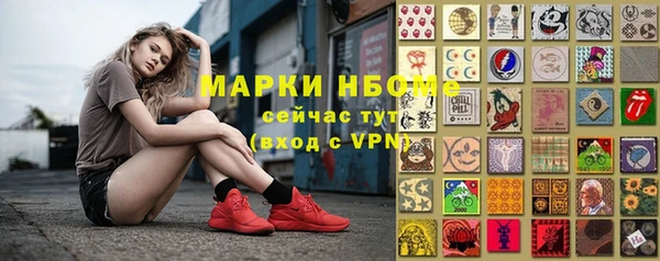 ECSTASY Богданович