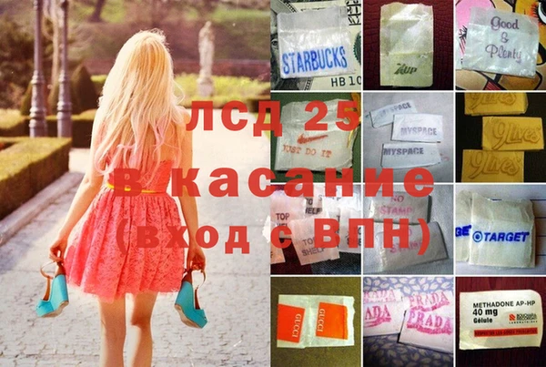 твердый Новозыбков