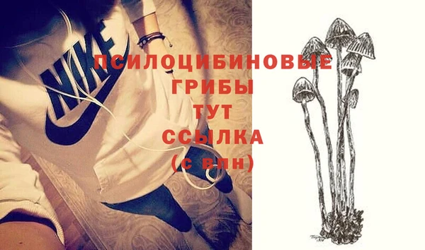 дживик Нязепетровск