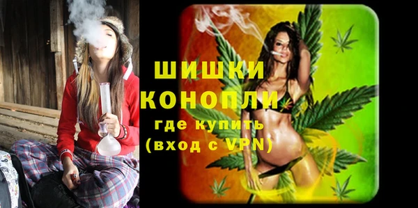 бошки Няндома