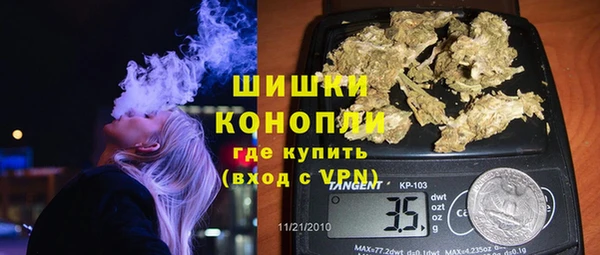 бошки Няндома